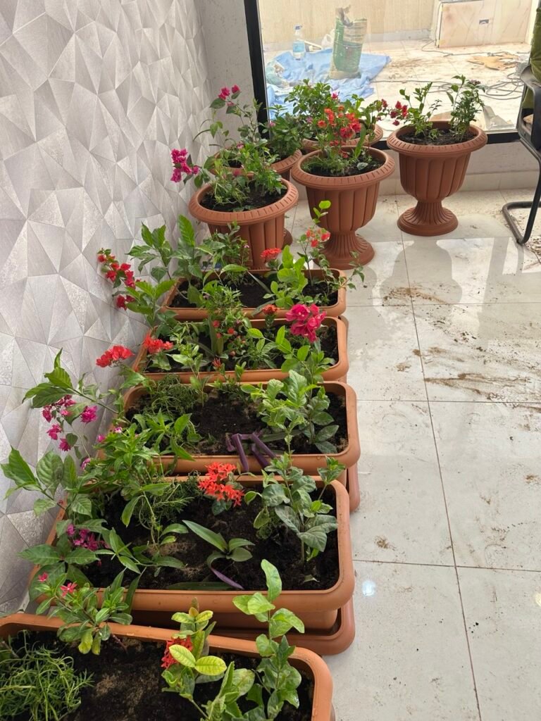 IMG_20251026_214609_755